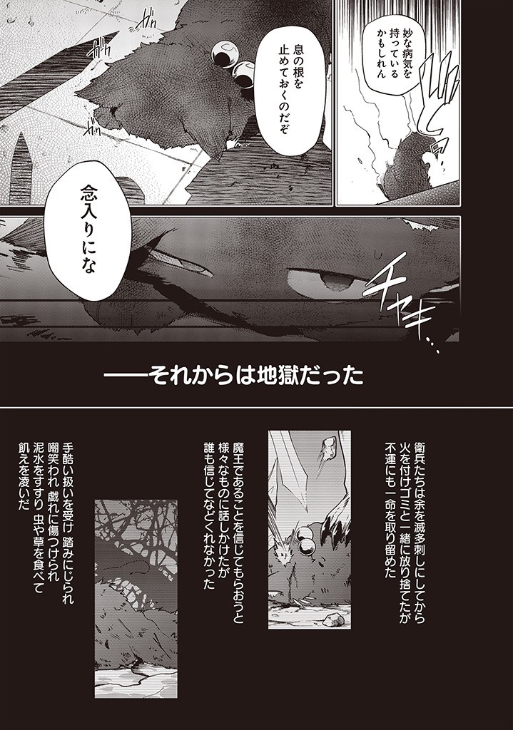 Seijo-sama? Iie, Toorisugari no Mamono Tsukai desu! – Zettai Muteki no Seijo wa Mofumofu to Tabi wo suru - Chapter 5.2 - Page 4